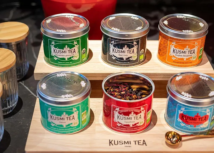 Novotel Château De Versailles